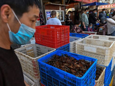 are wet markets closed in china